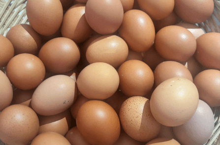 Huevo Rojo Orgánico